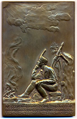 Irredenta cserkész bronzplakett Irredenta cserkész bronzplakett