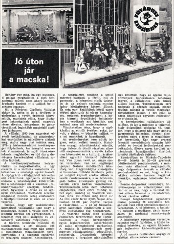 Fővárosi Cipőbolt Fővárosi Cipőbolt