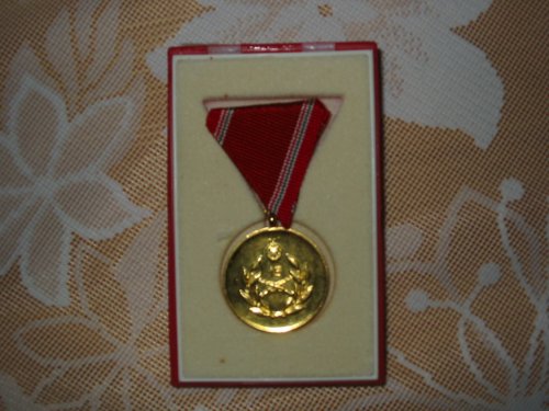 Kitüntetés