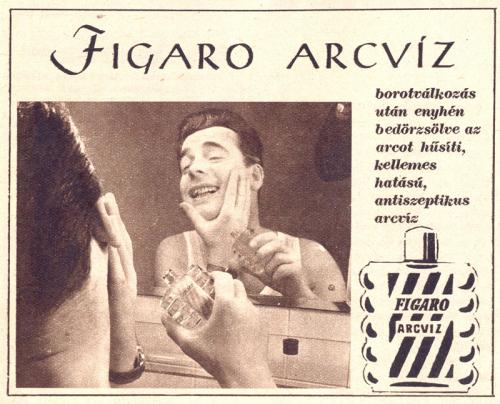 Figaró arcvíz