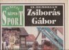 Zsiborás Gábor