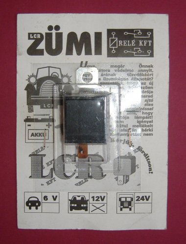Zümi Zümi