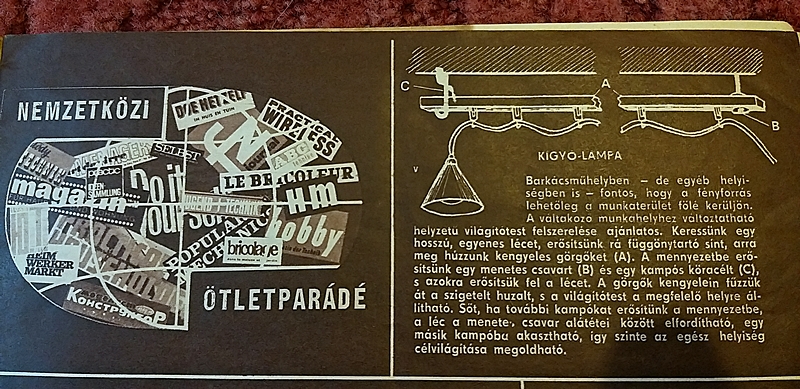 20201115_123747.jpg