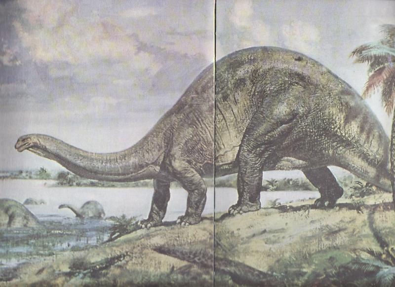 vegyes retró_0015.jpg