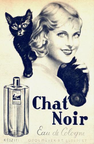 Chat Noir kölni