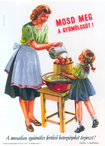 mosd meg a gyümölcsöt - plakát mosd meg a gyümölcsöt - plakát