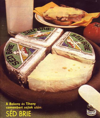 Tejipar Séd Brie sajt Tejipar Séd Brie sajt