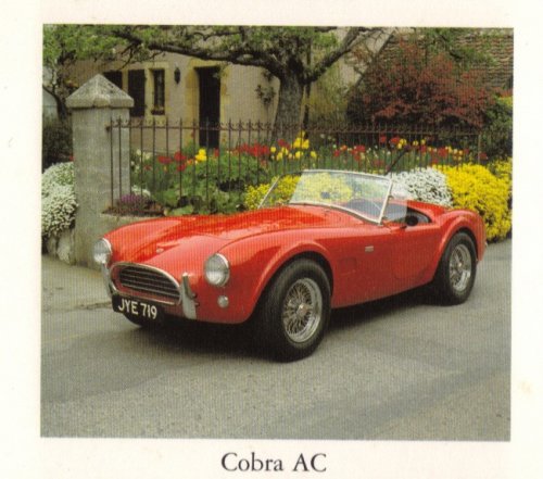 Cobra AC 289 Cobra AC 289