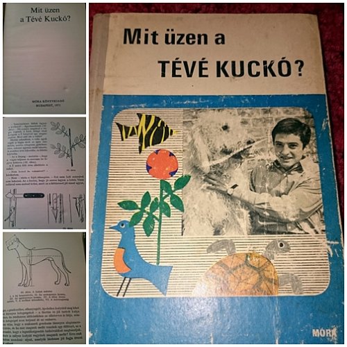Mit üzen a tv kuckó? könyv Mit üzen a tv kuckó? könyv