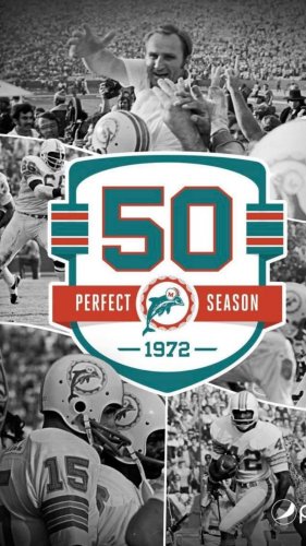 Miami Dolphins a legjobb szezonja 50 éve