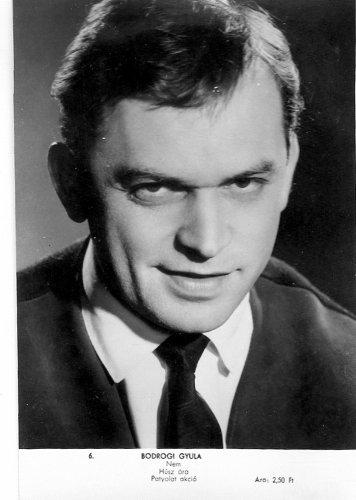 Bodrogi Gyula