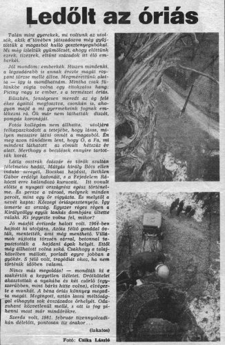 Kőszeg Királyvölgy 800 éves gesztenyefa Kőszeg Királyvölgy 800 éves gesztenyefa