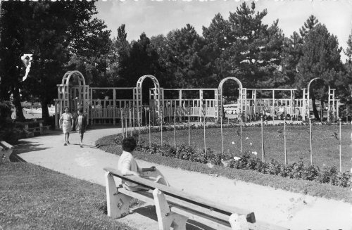 siófok parkrészlet siófok parkrészlet