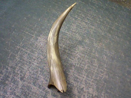 Mi ez? Szaru disztárgy