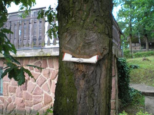 Árnyas utca ? Árnyas utca ?