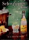 Schweppes tonik