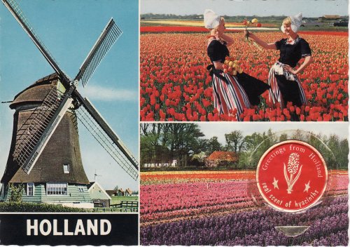 Hollandia - Tulipánország