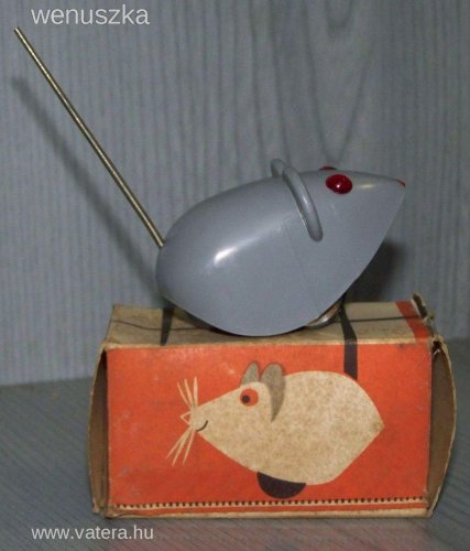 Kerek fülű rugós farkú egér