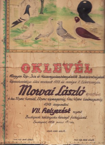 Galambász oklevél Galambász oklevél