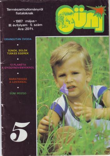 Süni magazin