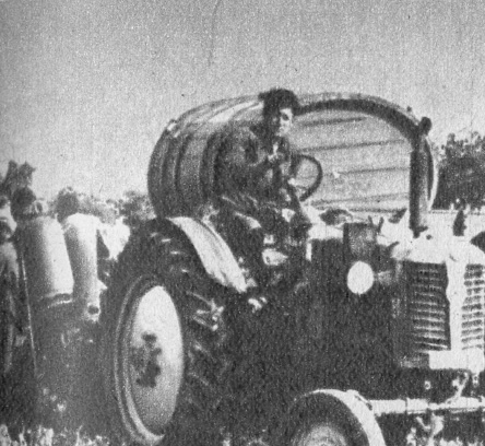 Zetor traktor szüret idején