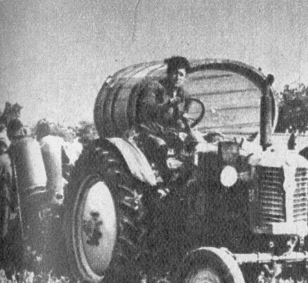 Zetor traktor szüret idején Zetor traktor szüret idején