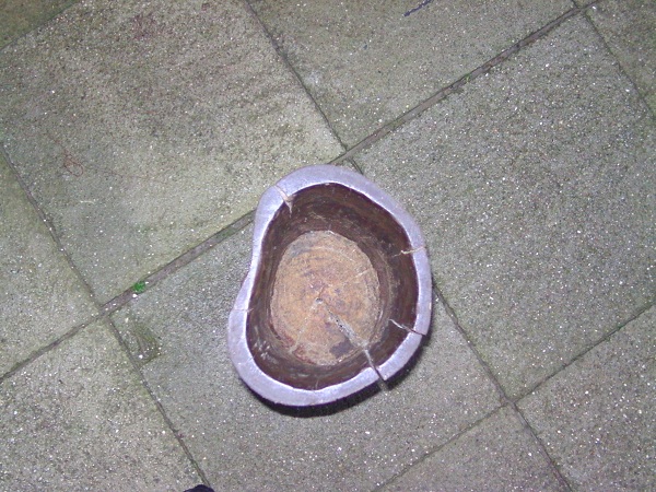 BILD0371.jpg