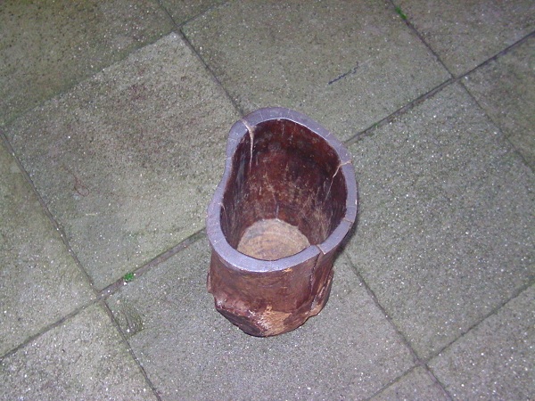BILD0372.jpg