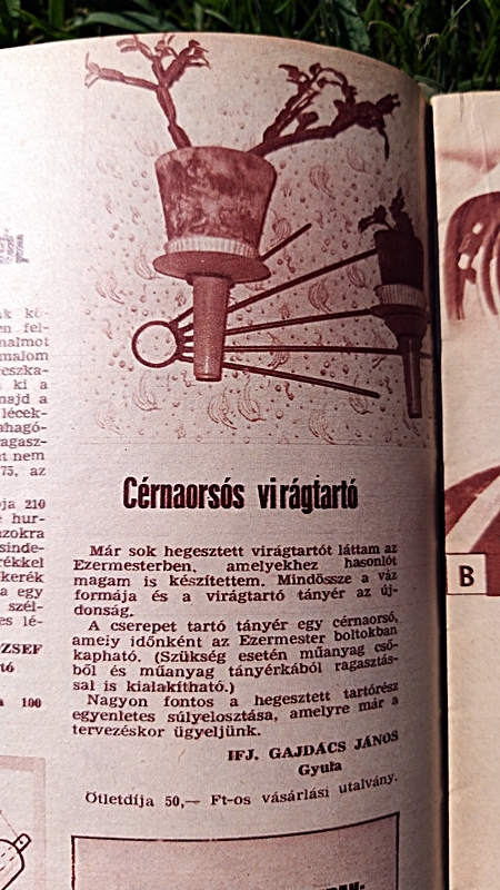 20190726_102343.jpg