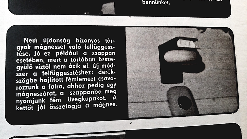 20200517_124646.jpg