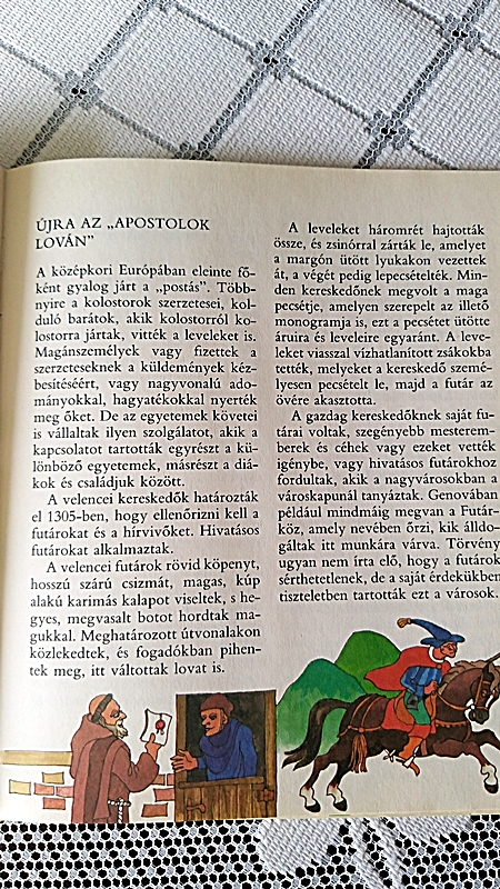 20190801_142816.jpg