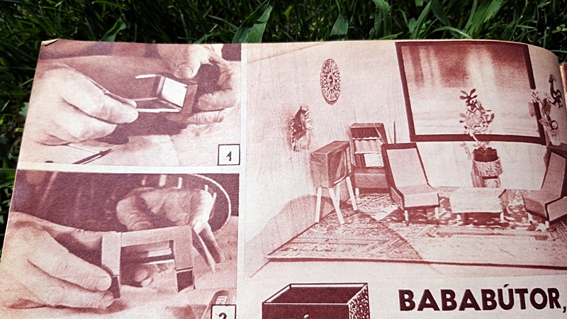 20190726_102736.jpg