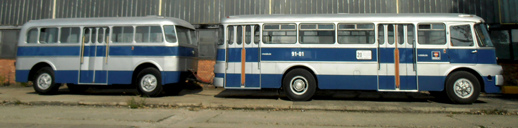 P9190925.JPG