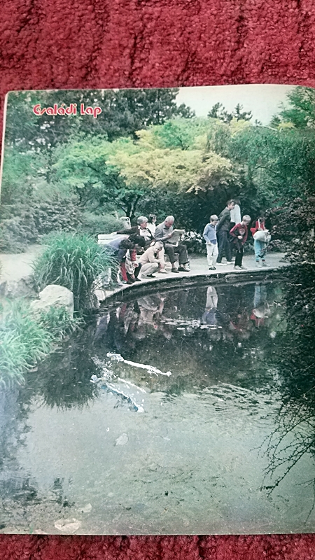 20190414_132500.jpg