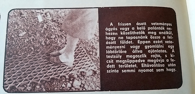 20201119_143755.jpg