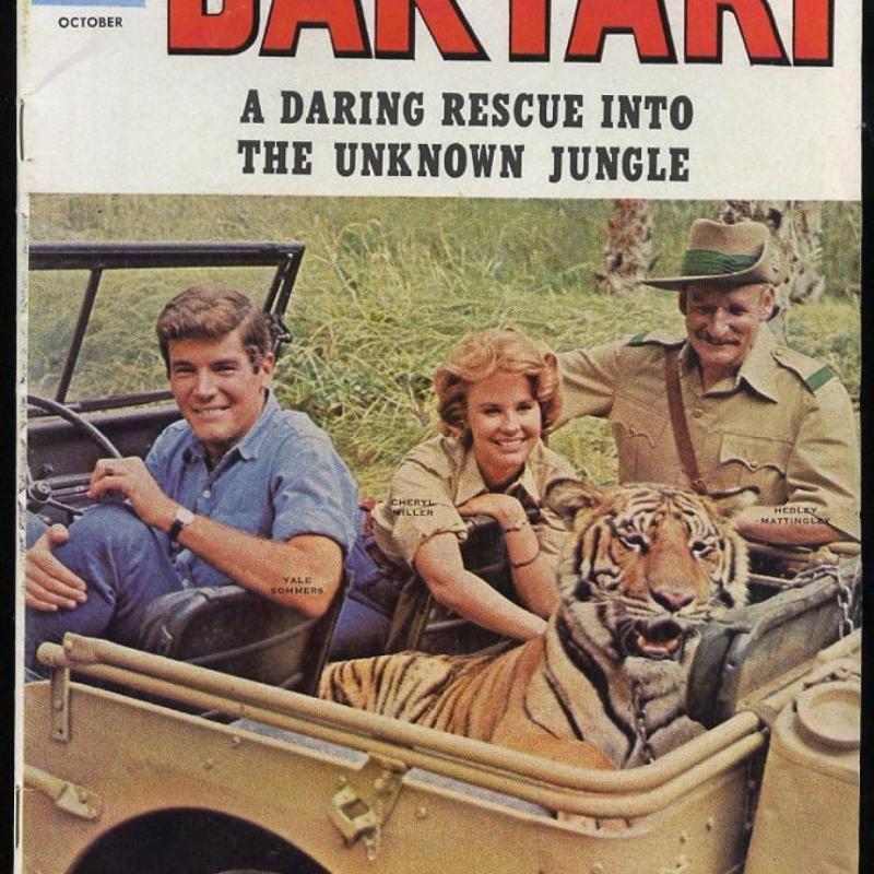 daktari.jpg