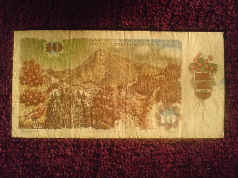 hátnyomati mintája