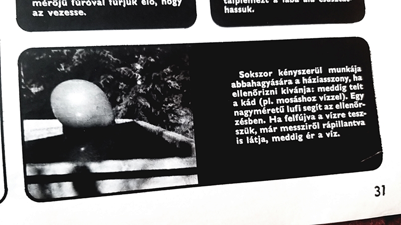 20200517_125301.jpg
