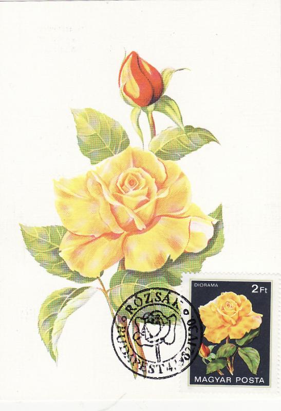 külföldi és magyar lapok_0009.jpg