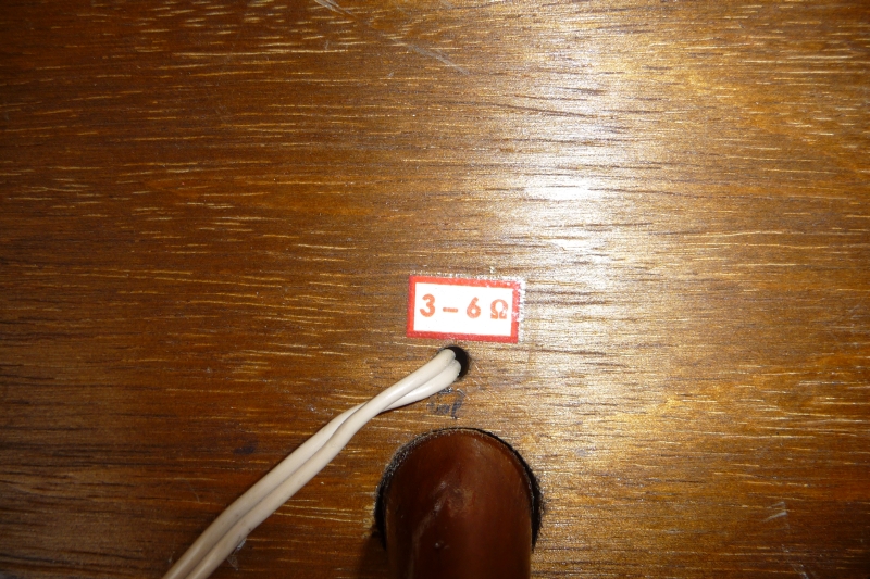 P1050613.jpg