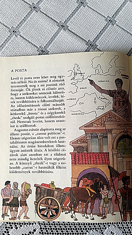 20190801_142808.jpg